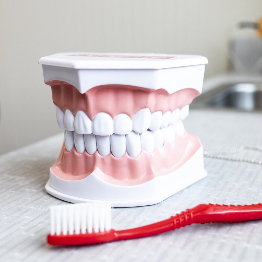 Dental Teeth and Toothbrus