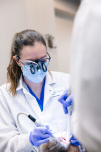 Dentist working on patient