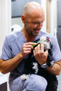 Dr. Krengel regularly brushes his dog's teeth to prevent cavities